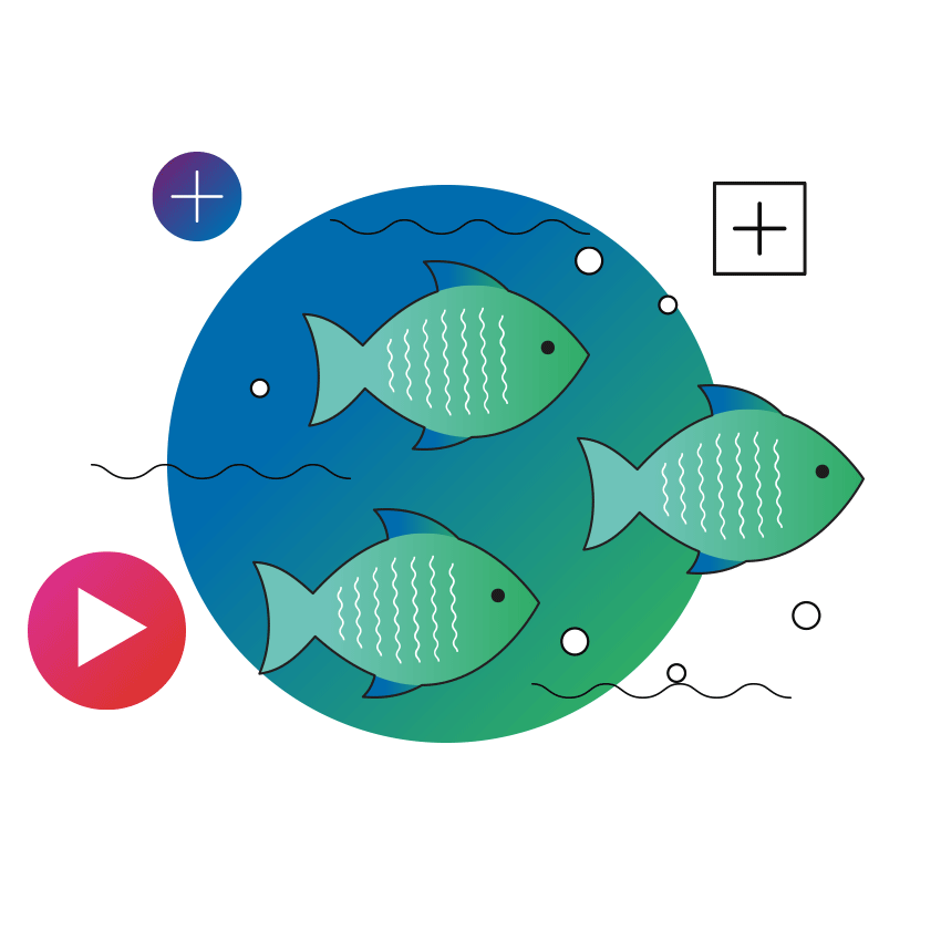 multiple channels animation circle fish underwater square