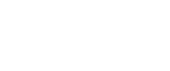 logo emerson blanc