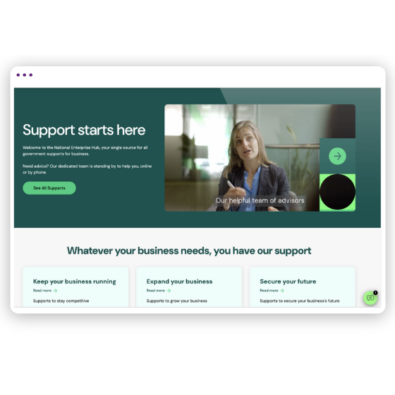 Enterprise Ireland Chat