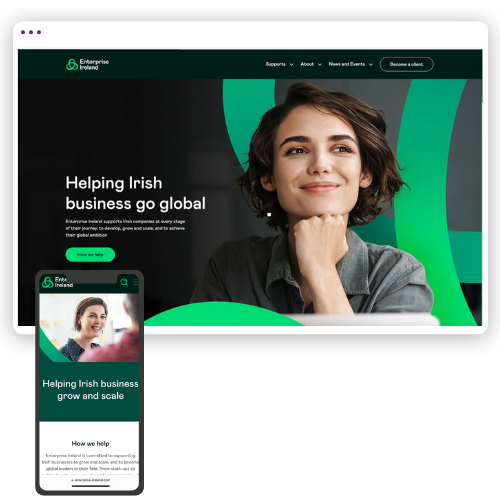 Website von Enterprise Ireland