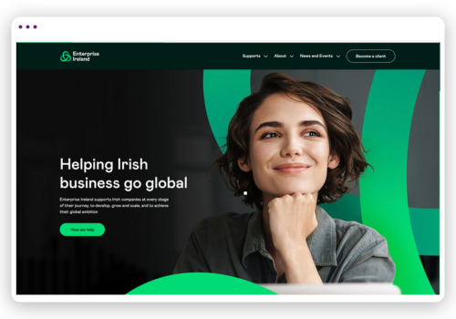 Enterprise Ireland Überblick