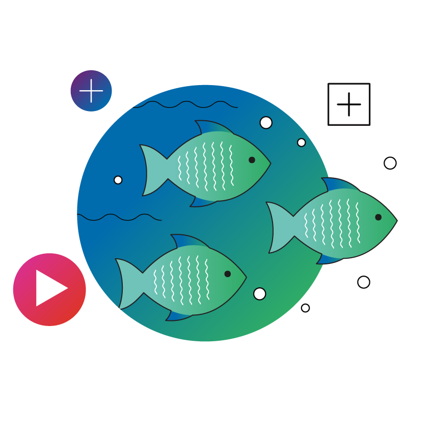 Multiple channels fish underwater circle badge square 2