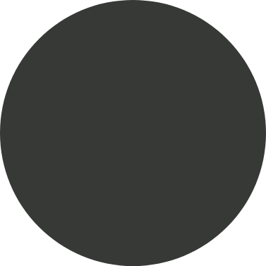 Dark grey color swatch