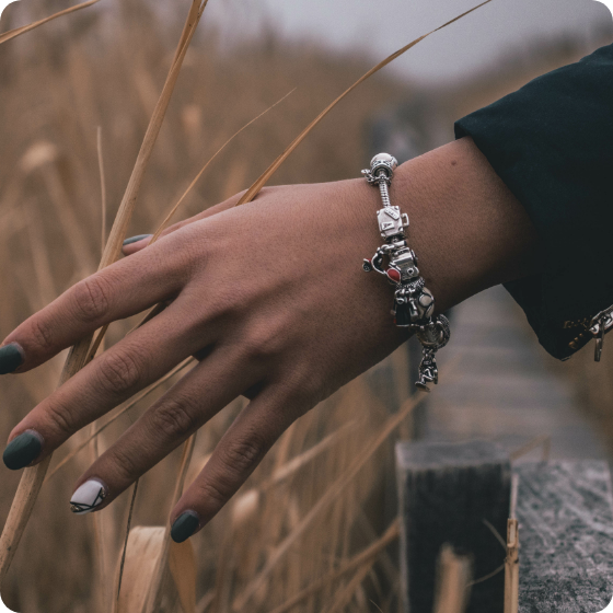 Pandora bracelet