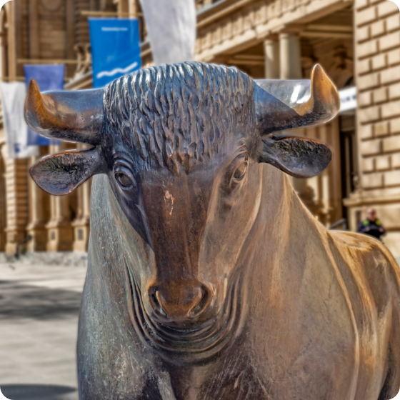 Bull statue